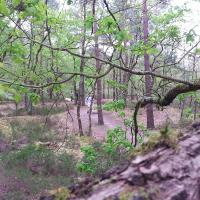 20160515_132424