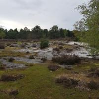 20180414_180233