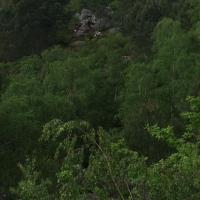 IMG_4660