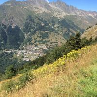 IMG_6461